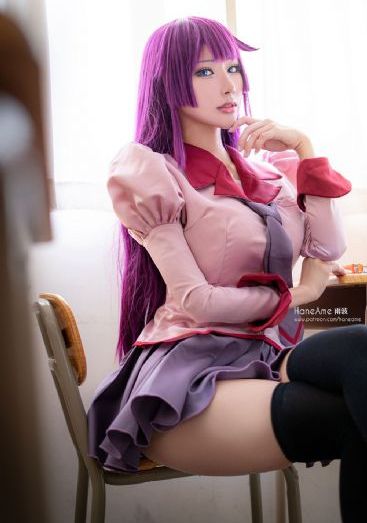 机智的上半场电视剧免费观看