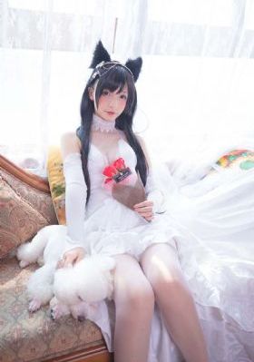 奔跑吧兄弟第十一季免费观看